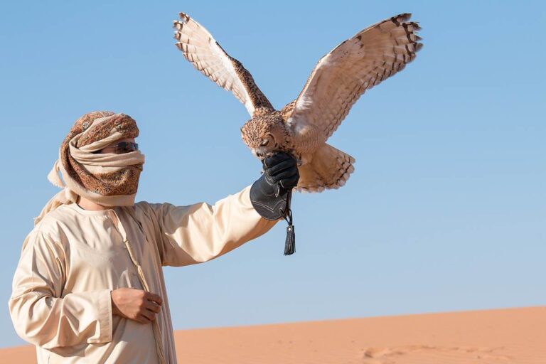 Abu Dhabi Desert Safari Thrill and Fun in UAE