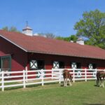 metal horse barns